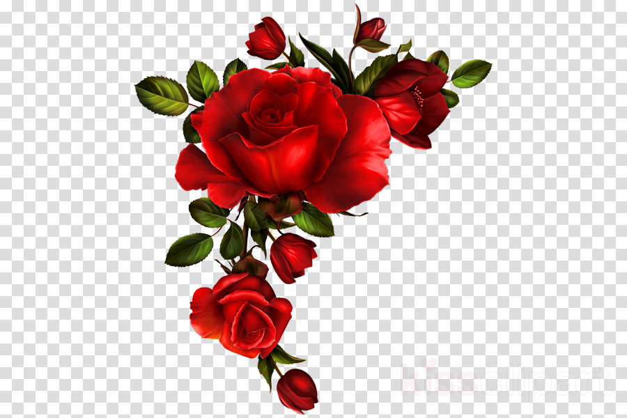 Roses Corner Decoration Png Clipart Picture Flower Border Flower ...