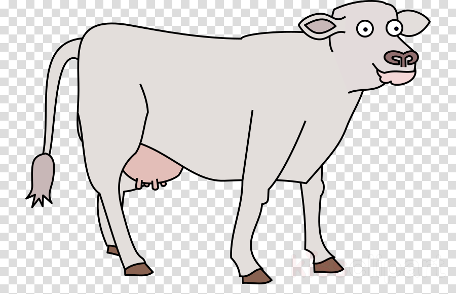 山羊牛乳品 透明png图片和剪贴画免费下载 1金宝搏网站