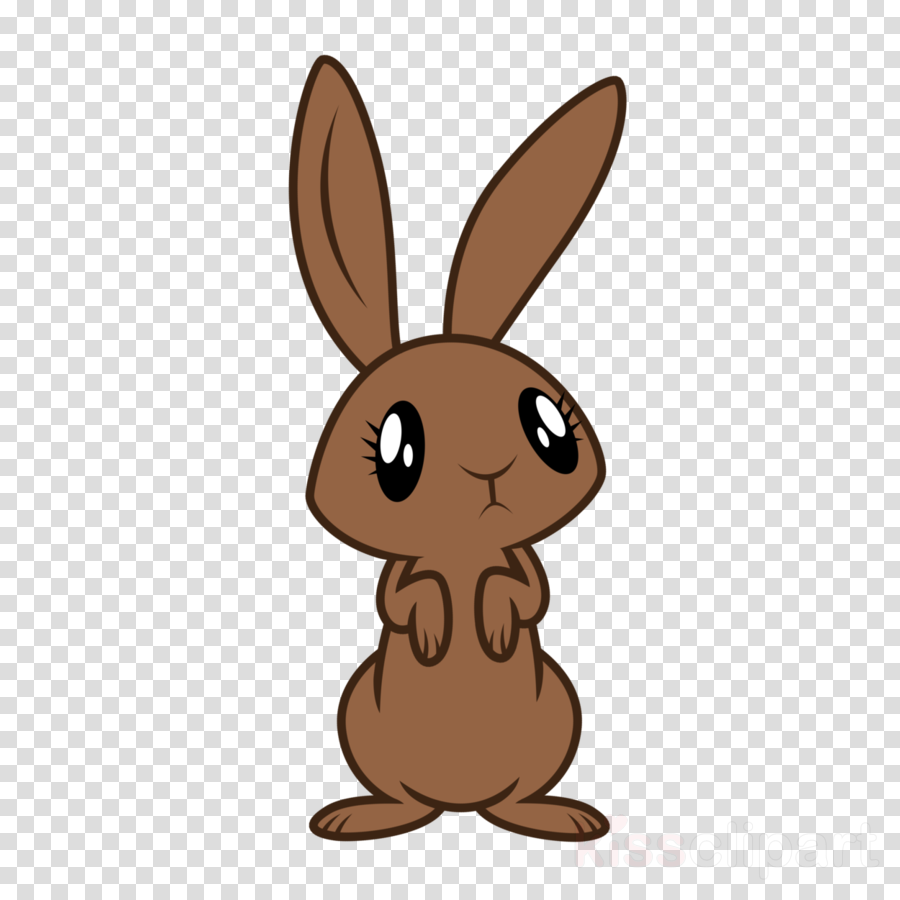 Download Drawing Rabbit Pictures Cartoon