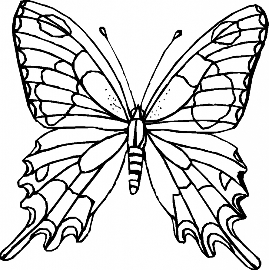 Butterfly Black And White clipart - Butterfly, Leaf, Plant, transparent ...