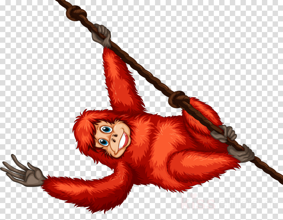 33++ Gambar Kartun Orangutan - Gambar Kartun HD