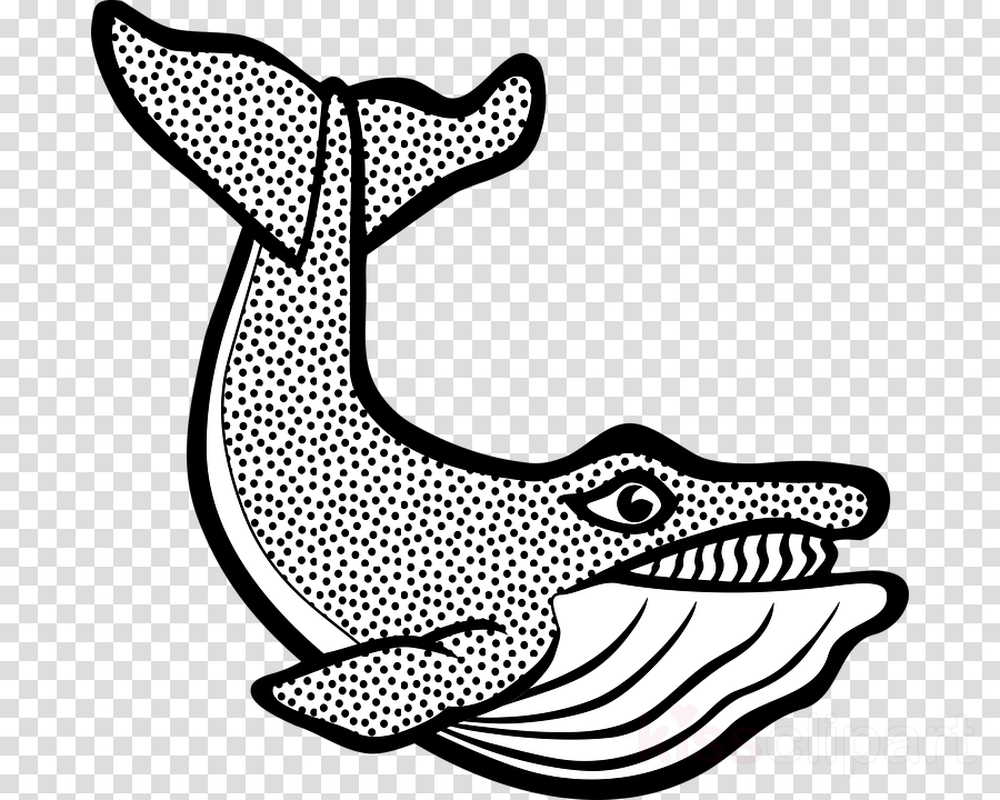 Gambar Ikan Paus Clip Art - Ani Gambar
