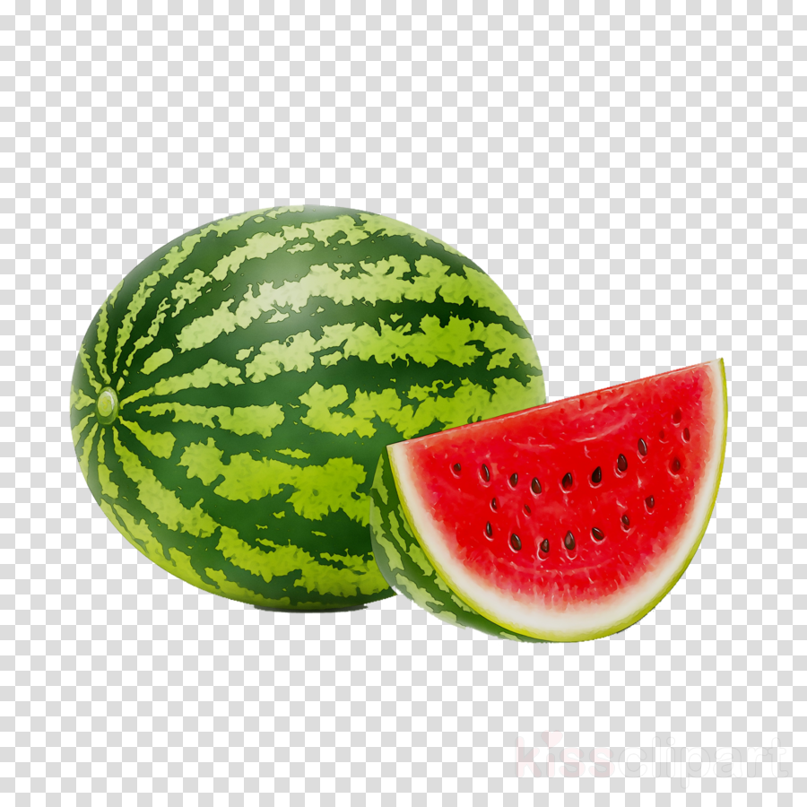 Watermelon Cartoon clipart - Watermelon, Illustration, Drawing