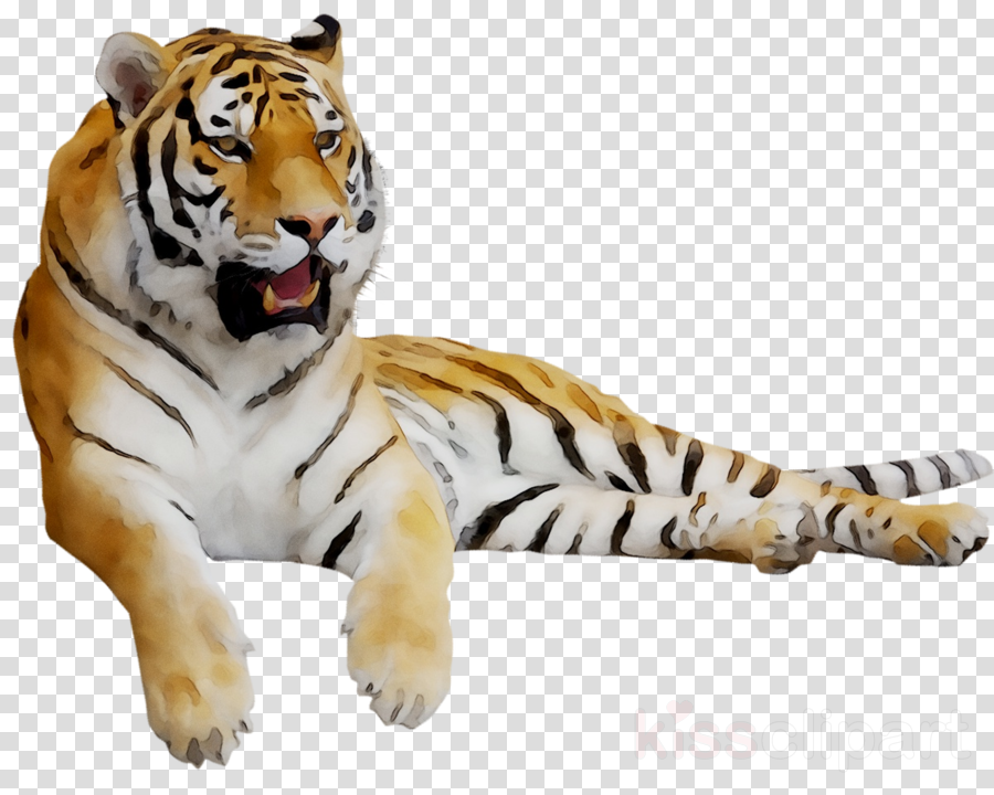 Tiger Paw