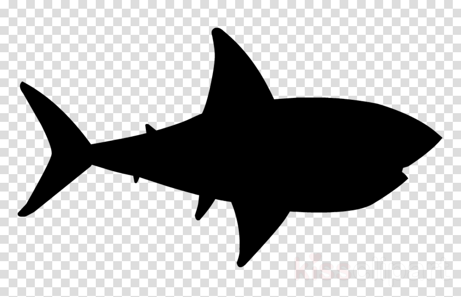 Great White Shark Background Clipart Silhouette Fish