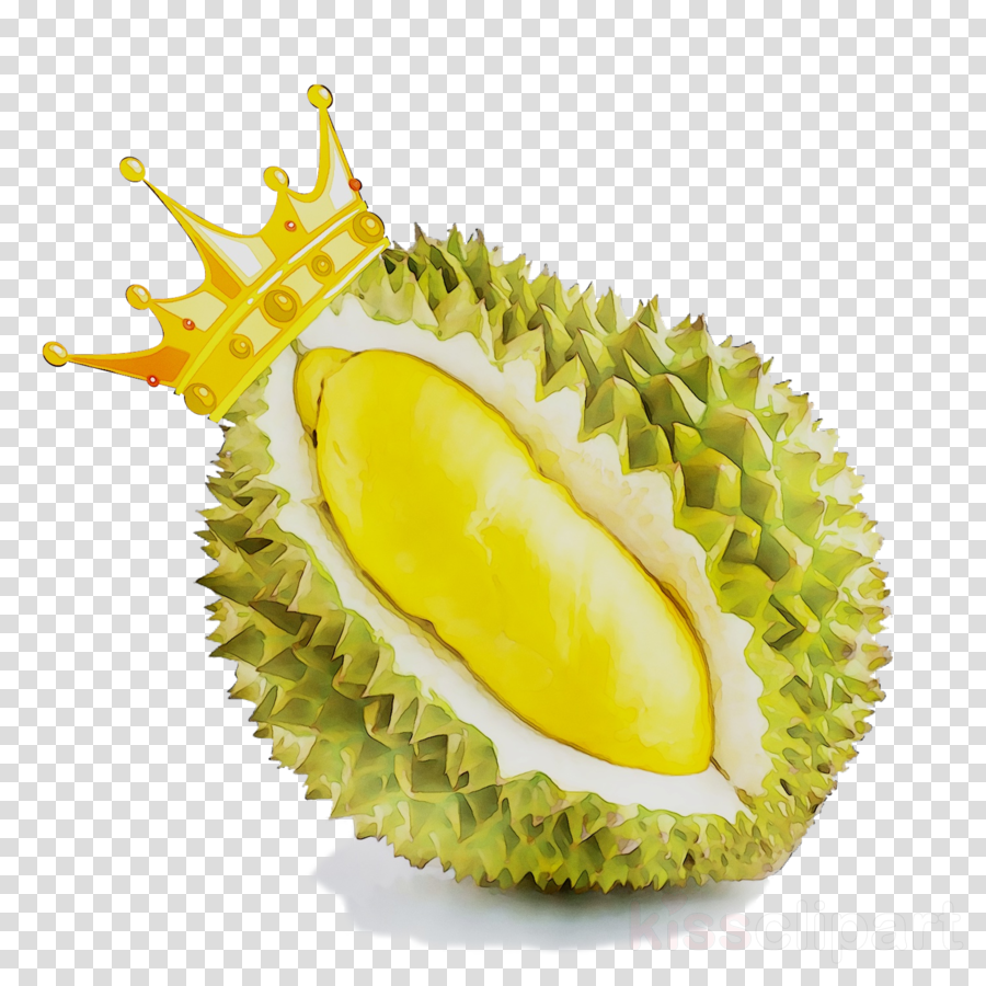 80 Gambar Durian Cartoon Png Paling Bagus Gambar Pixabay