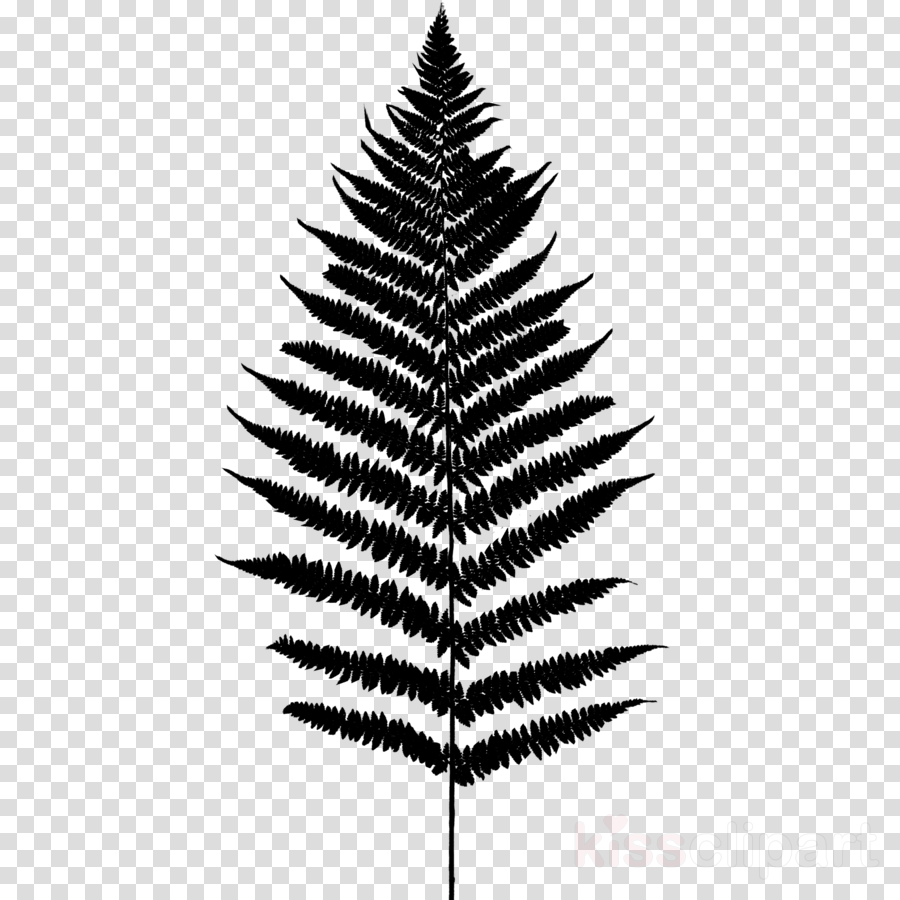 Christmas Black And White clipart - Leaf, Silhouette, Tree ...