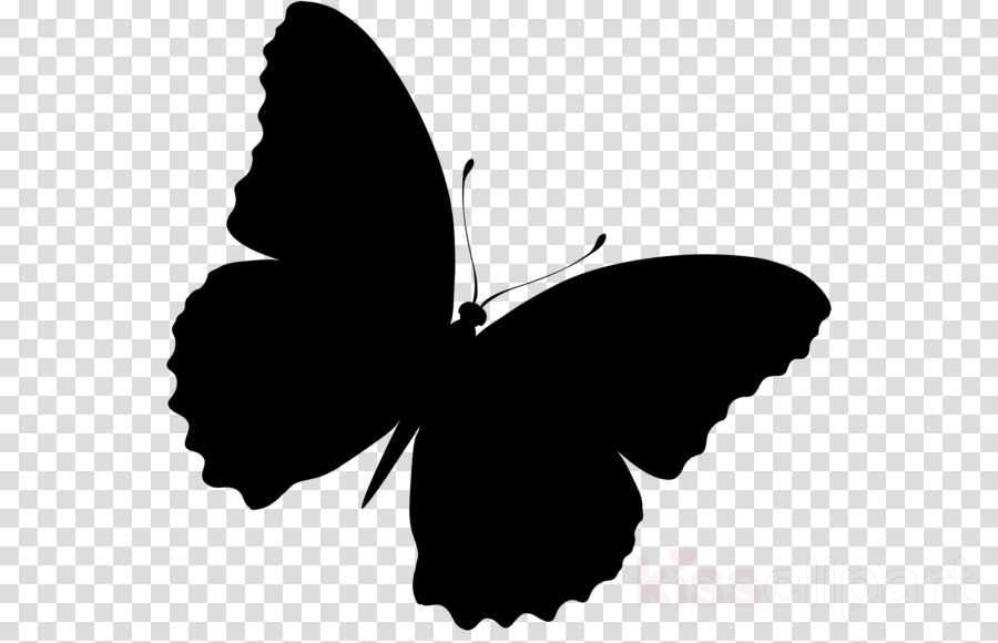 Download Simple Butterfly Clip Art Black And White