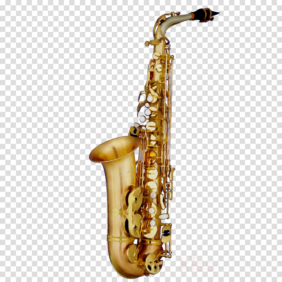 Saxophone Musical Instruments Cartoon Images