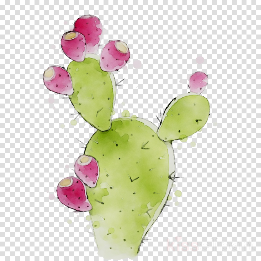 Prickly Pear. 