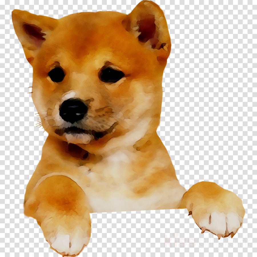 Shiba Inu Cartoon Clipart Puppy Dog Transparent Clip Art