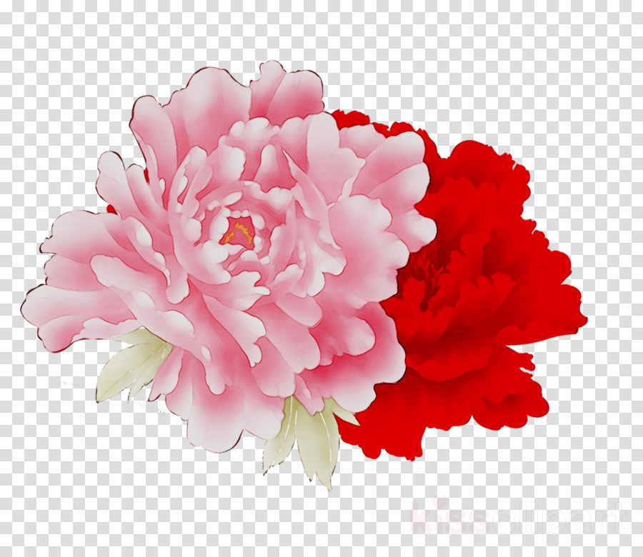 Red Carnation Clipart Pink Flower Clip Art At Clker C - vrogue.co