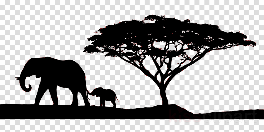 Tree Branch Silhouette clipart - Africa, Wildlife, Tree ...