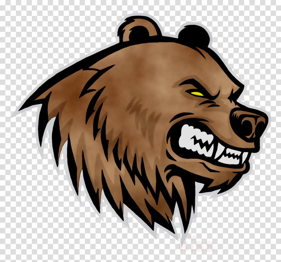 Angry Bear Cartoon Face