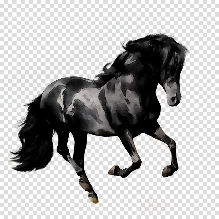 Black Horse Png - Free Logo Image