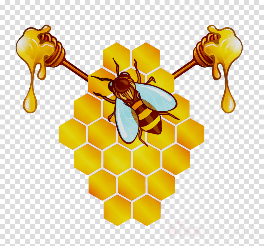 free clipart,transparent png image,clip art,Bee, Honey, Honeycomb