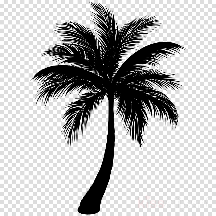 Palm Tree Silhouette Clipart Tree Design Silhouette