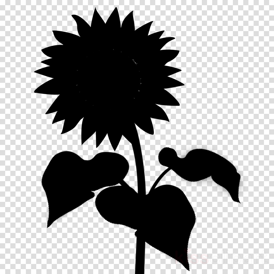 Download flower: Silhouette Sunflower Clipart Black And White