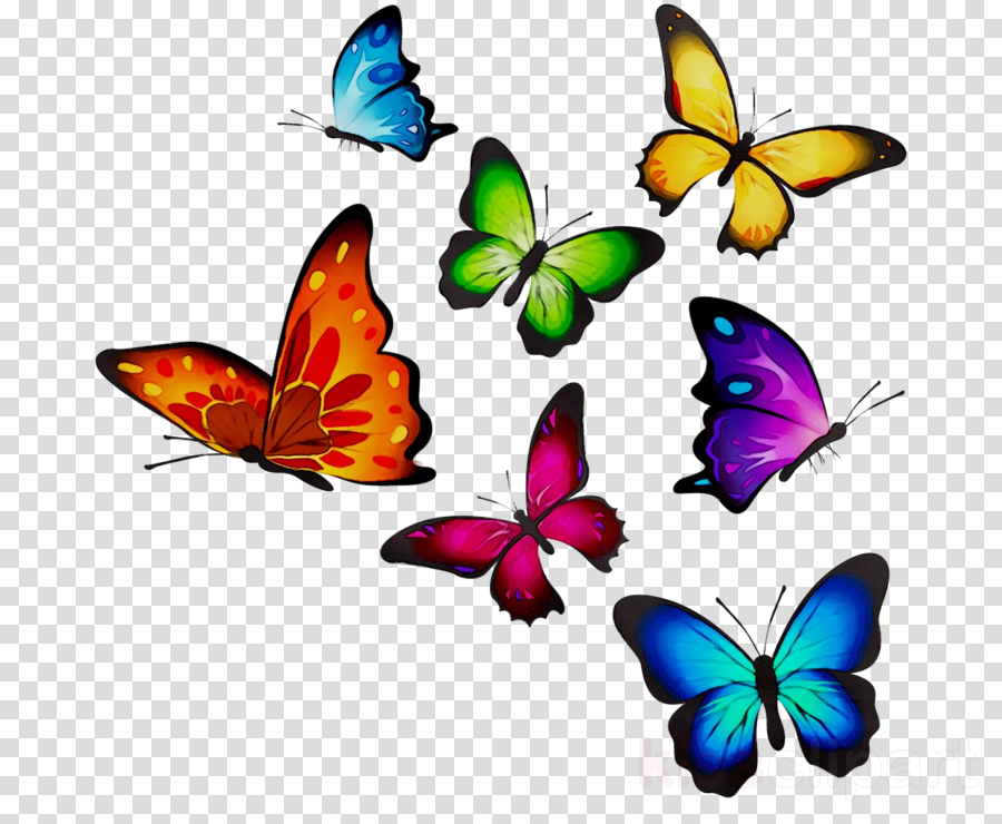 Butterfly Illustration clipart - Art, Illustration, Butterfly ...