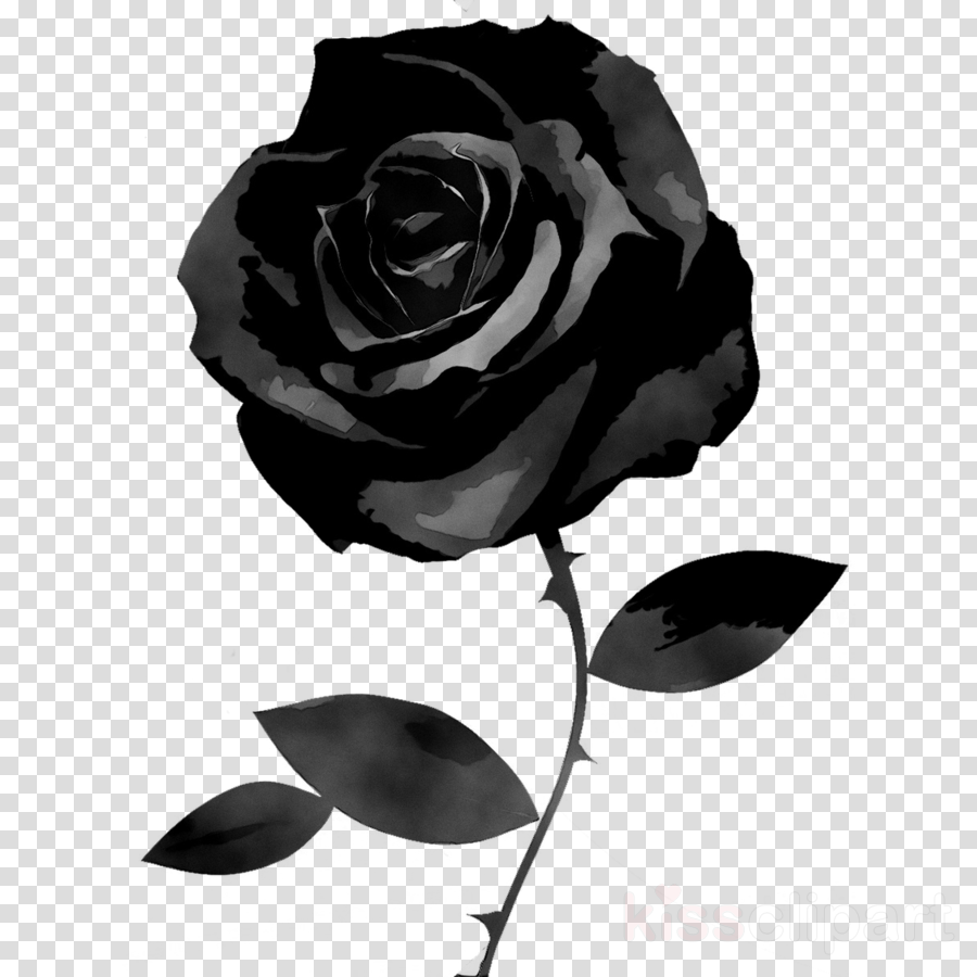 Rose Black And White Clipart Rose Drawing White Transparent Clip Art