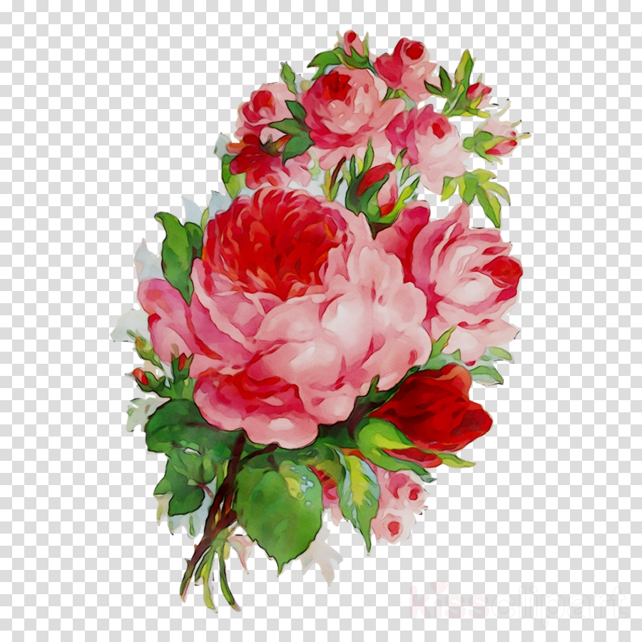 Red Watercolor Flowers Clipart - Flower, Plant, Pink, Transparent Clip Art