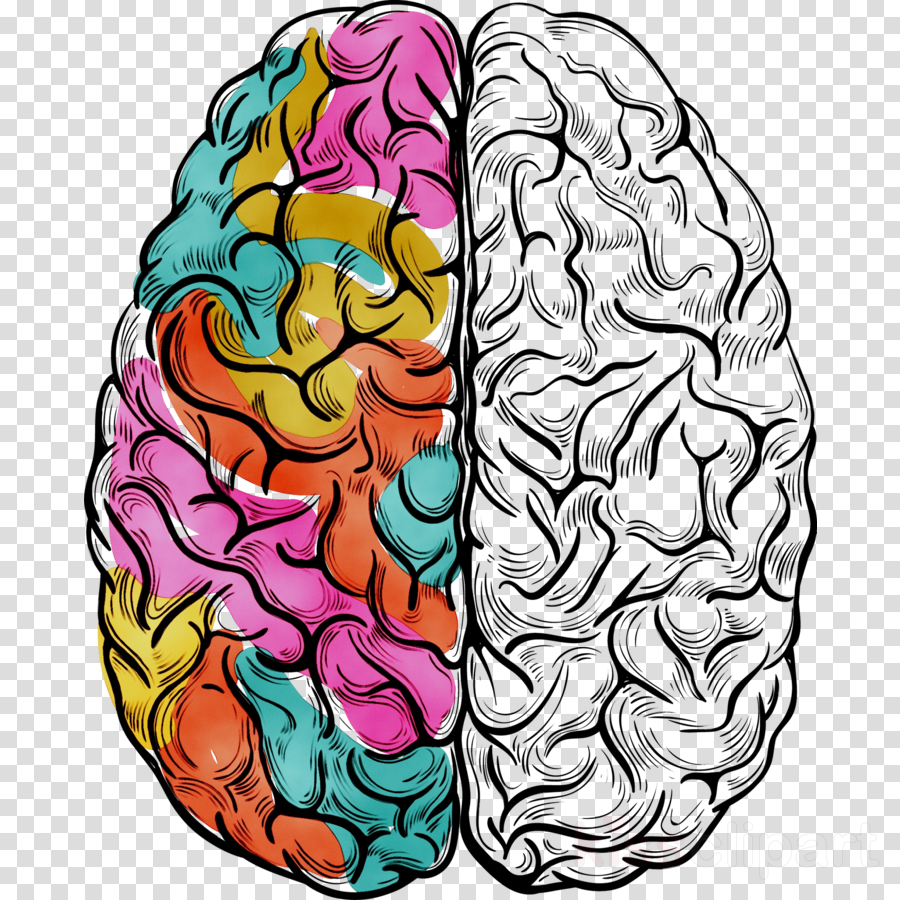 Paul brain. Мозг рисунок. Разноцветный мозг.