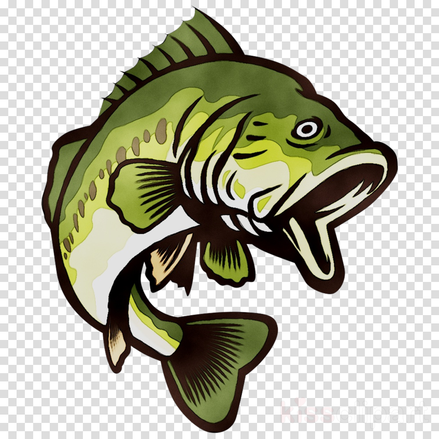 Largemouth Bass Cartoon - Illustration of a largemouth bass fish ...