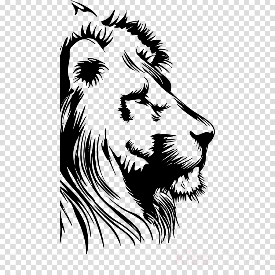 Dollzis: Transparent Background Lion Head Clipart Black And White
