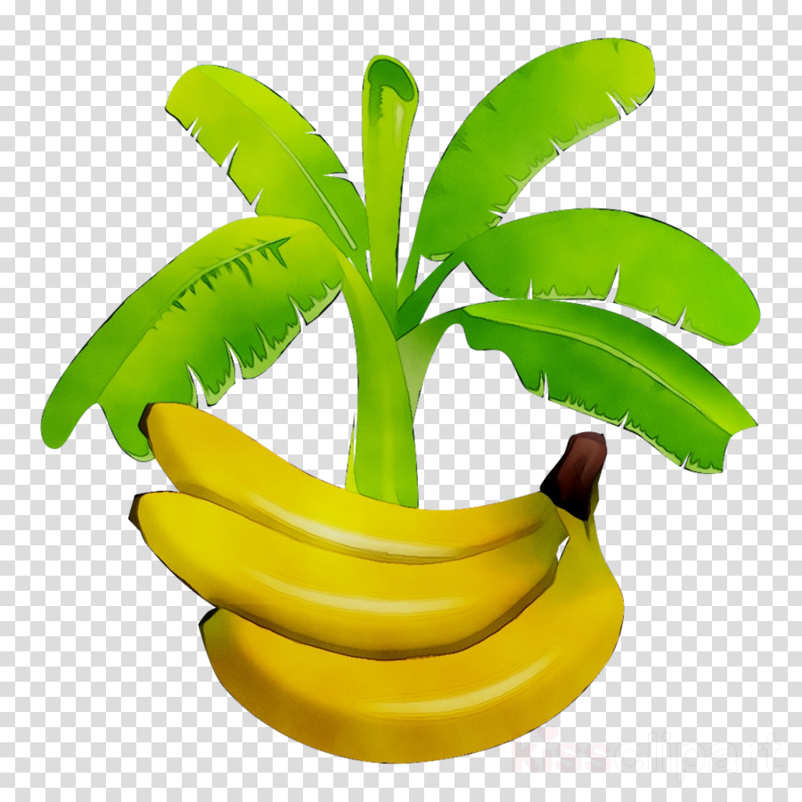 Banana Leaf Clipart Illustration Plant Transparent.