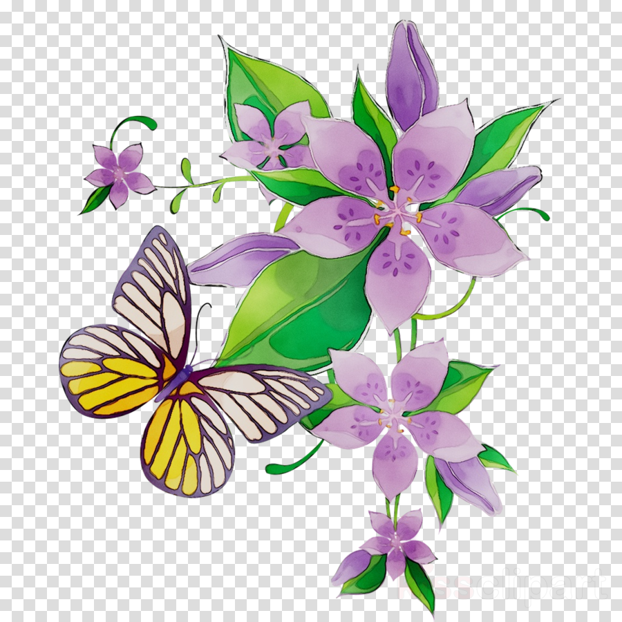 Bloom Floral Design Studio: Floral And Butterfly Border Design
