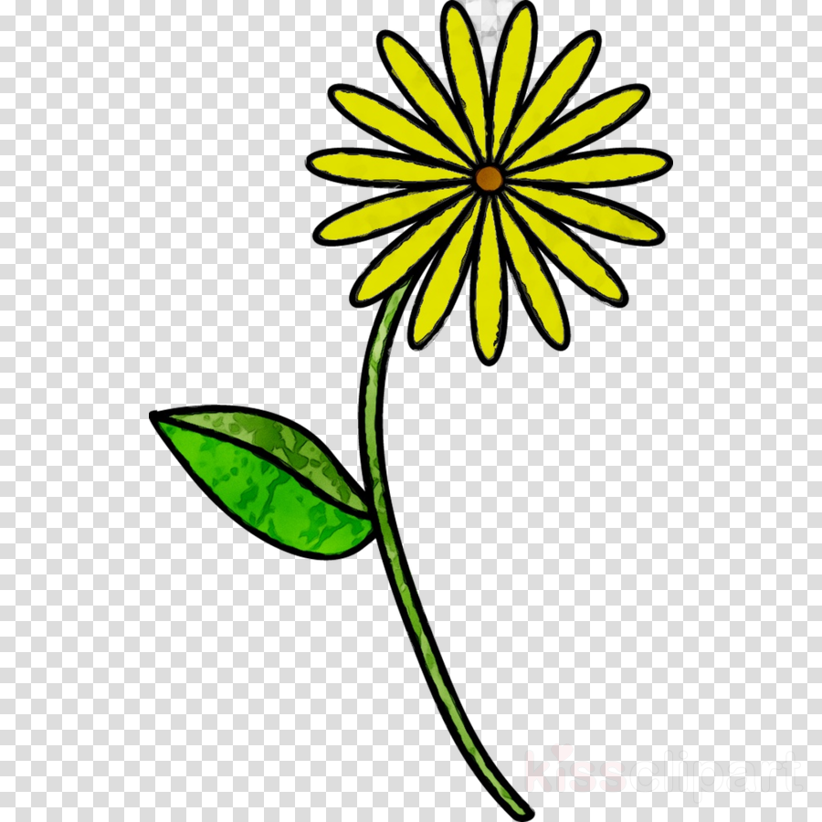 Watercolor Flower Background Clipart Drawing Flower Art Transparent Clip Art