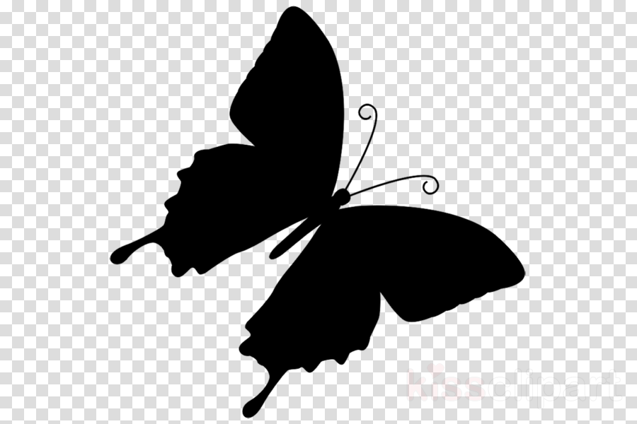 Download Butterfly Silhouette clipart - Butterfly, Illustration ...