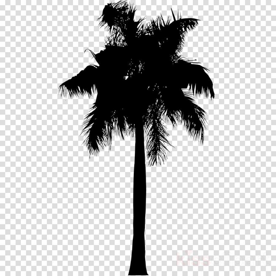 Palm Tree Silhouette Clipart Tree Silhouette Plant