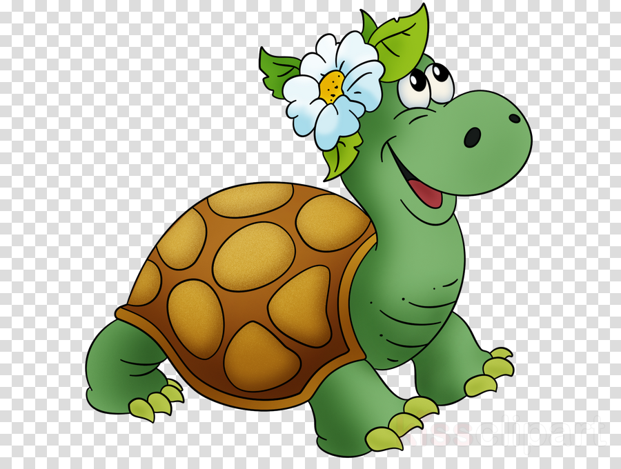 Черепашка картинка. Мультяшные черепахи. Черепашка мультяшная. Черепаха рисунок для детей. Черепаха для дошкольников.