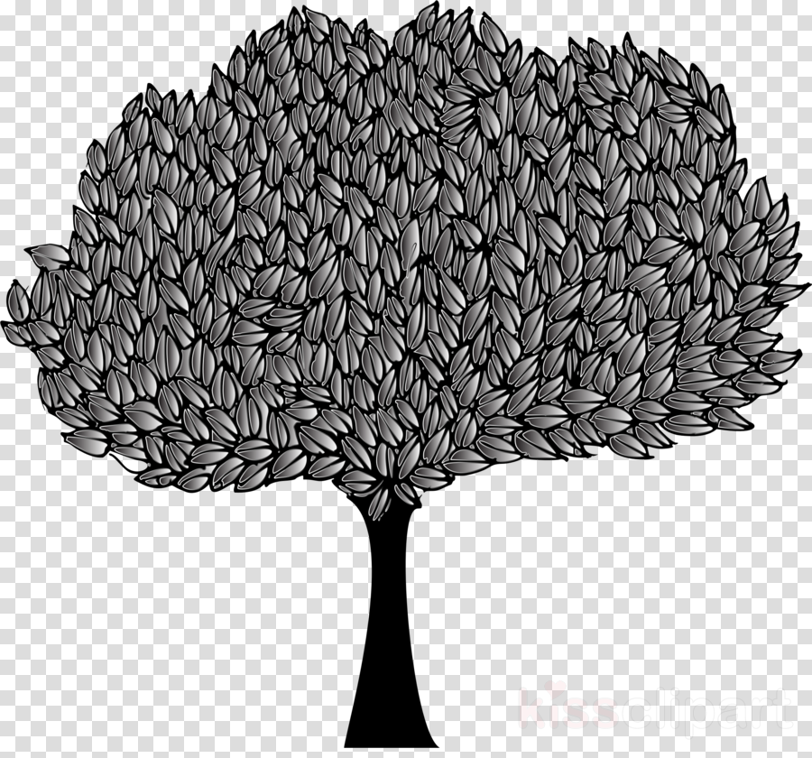 Banyan Tree clipart - Nature, transparent clip art