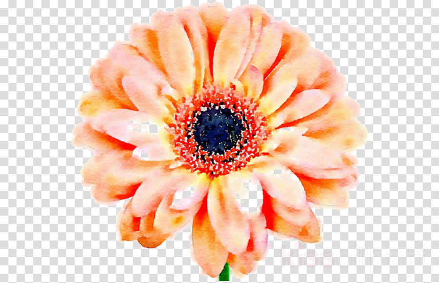Flower Aesthetic Computer Wallpaper - GAMBAR BUNGA