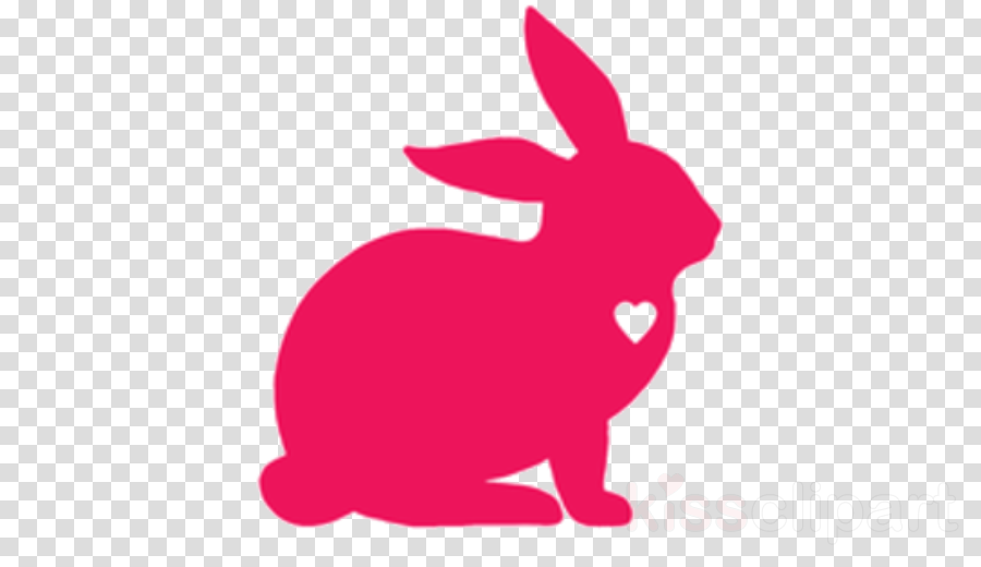 Download Rabbit Rabbits And Hares Pink Domestic Rabbit Hare Clipart Rabbit Rabbits And Hares Pink Transparent Clip Art