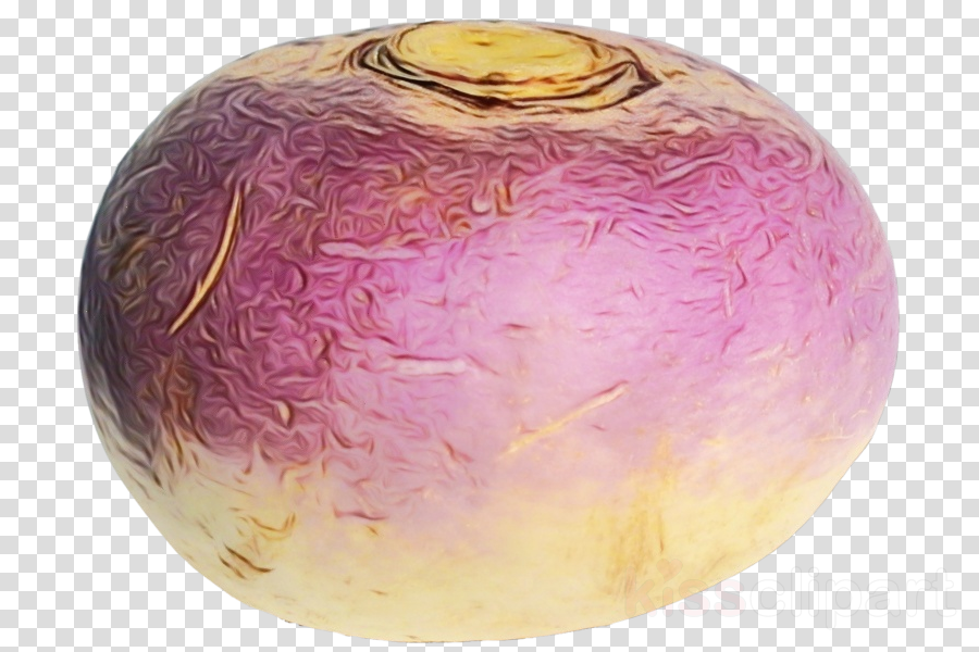 turnip purple rutabaga magenta sphere