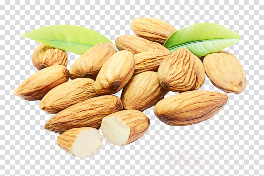food almond nut plant nuts & seeds