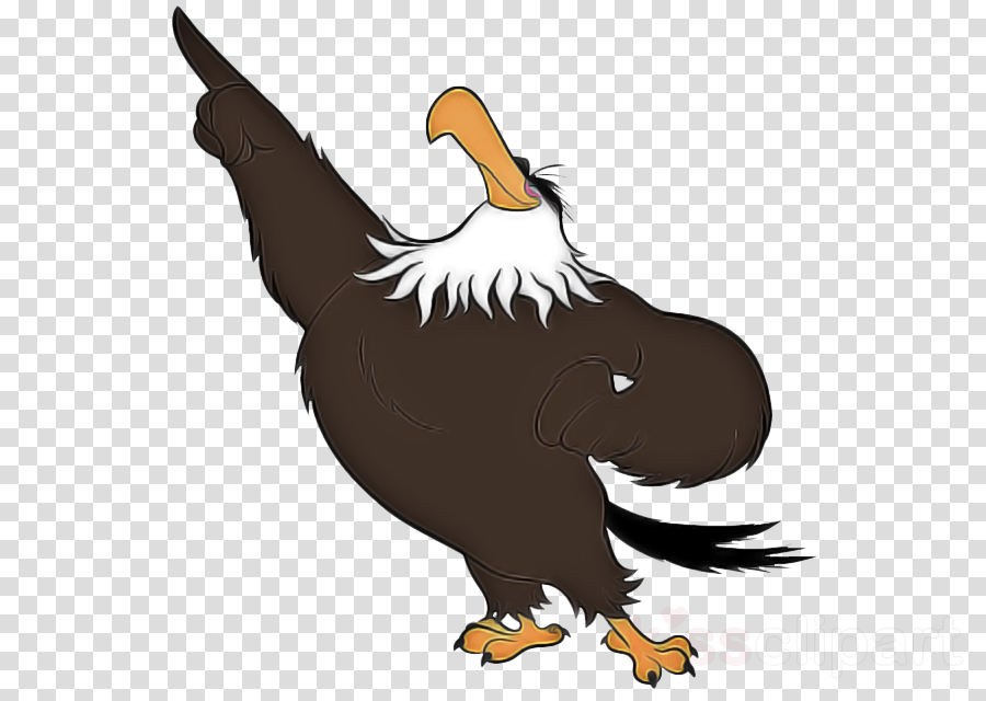 Bird Eagle Bird Of Prey Vulture Cartoon Clipart Bird Eagle Bird Of Prey Transparent Clip Art,Msg In Food Side Effects
