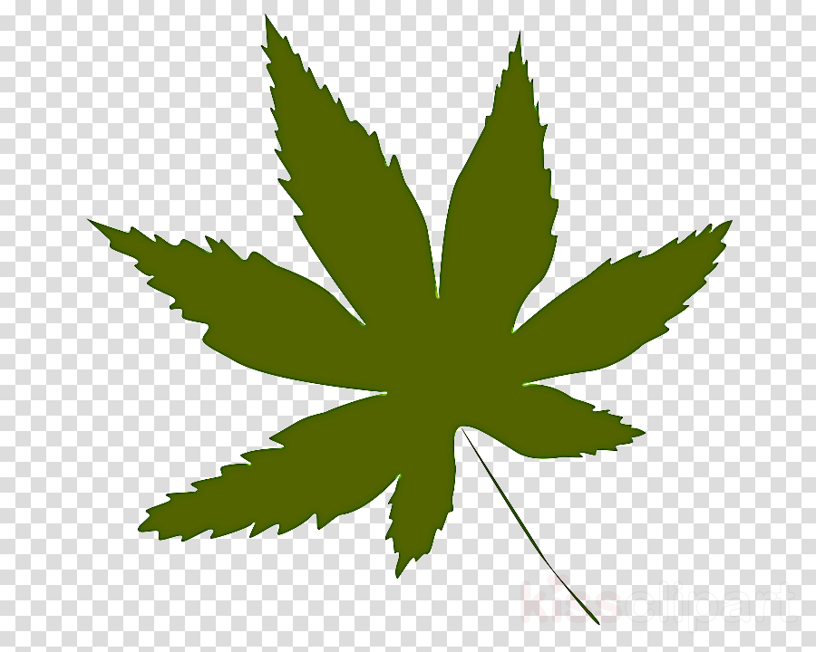 Weed clipart - Leaf, Green, Plant, transparent clip art