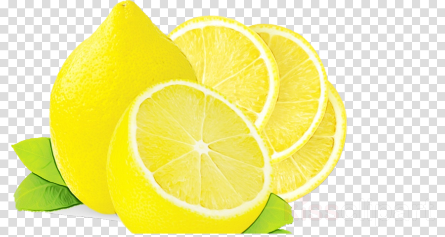 lime lemon citrus yellow key lime