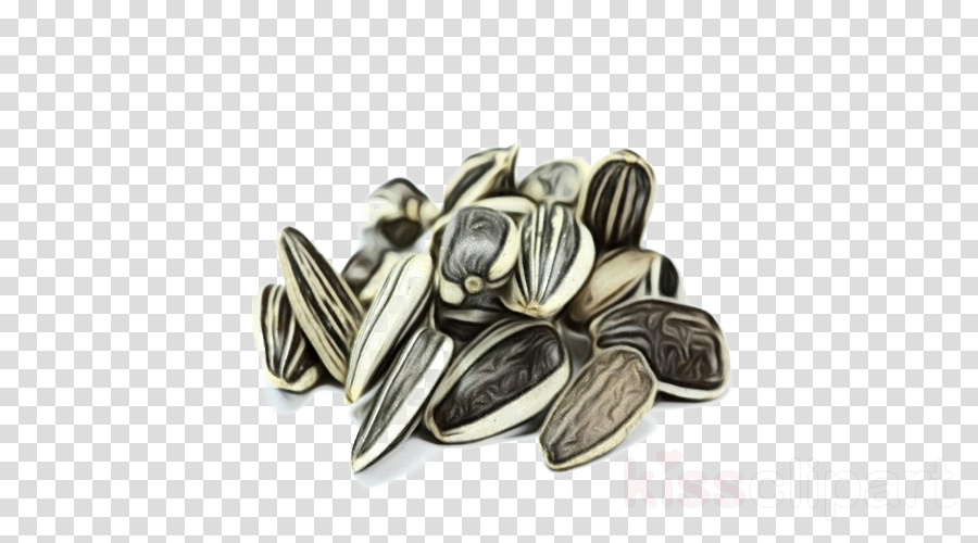 Free Free 70 Clipart Sunflower Seeds SVG PNG EPS DXF File
