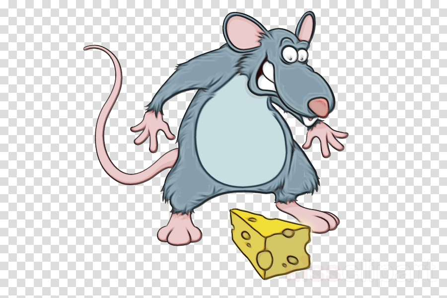 Мышь качок. Картун rat. Мультяшные крысы. Крыса cartoon. Rat картинка для детей.