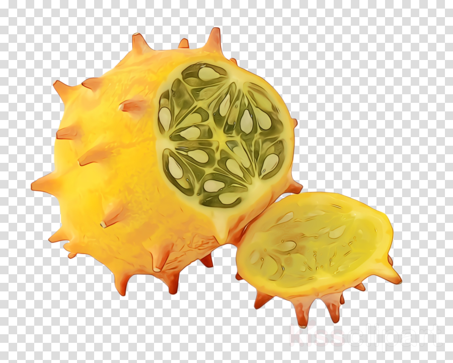 yellow fruit pitahaya melon horned melon