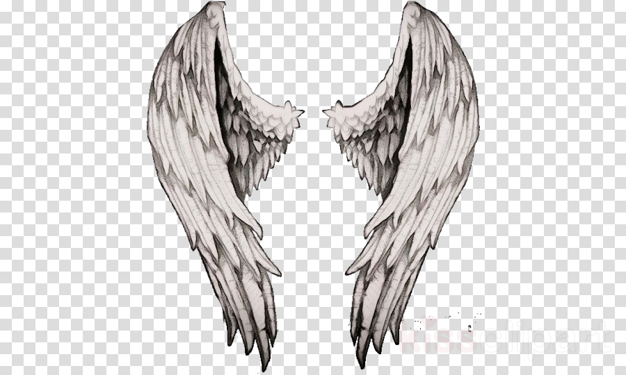 Wing Angel Sketch Supernatural Creature Drawing Clipart Wing Angel Supernatural Creature Transparent Clip Art