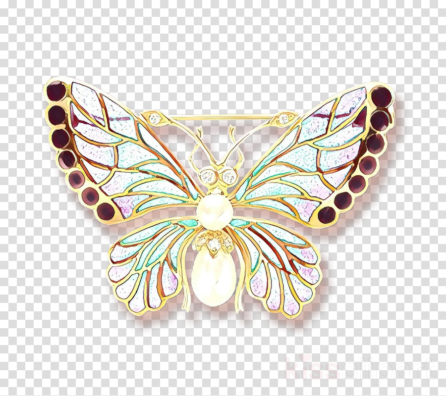 fashion accessory jewellery brooch wing butterfly