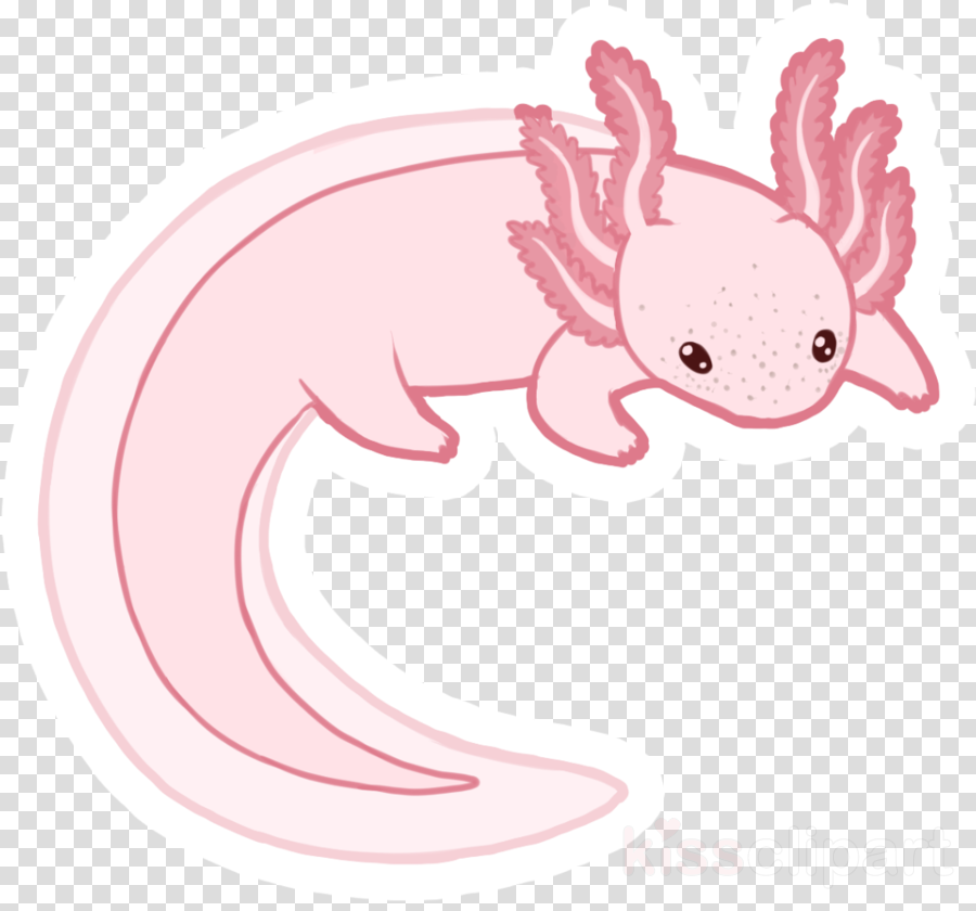 Axolotl Cute Colored Png Image Download As Svg Vector - vrogue.co