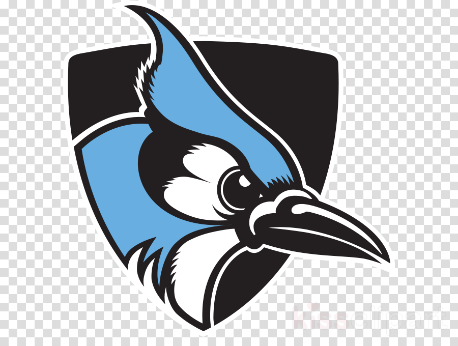 Blue Jay Clip Art Jay Logo Woodpecker Clipart Blue Jay Jay Logo Transparent Clip Art