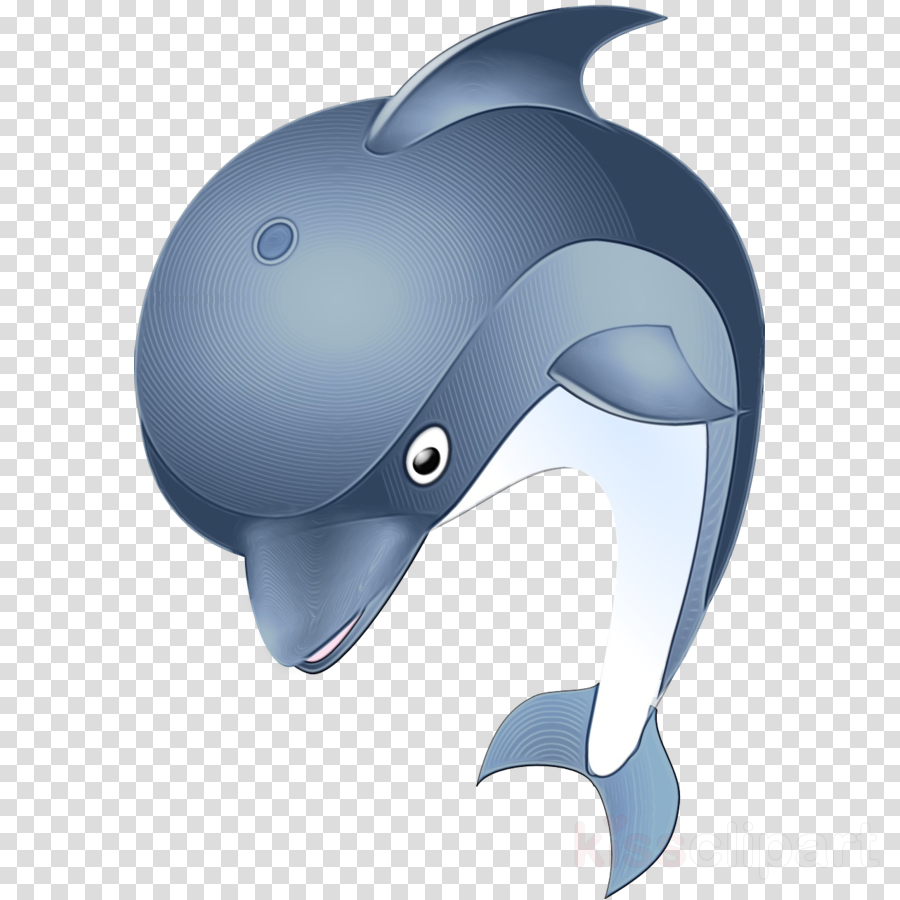 helmet dolphin bottlenose dolphin personal protective equipment batting helmet